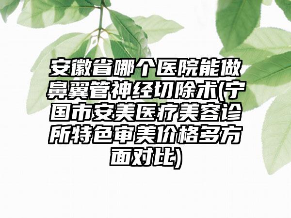 安徽省哪个医院能做鼻翼管神经切除术(宁国市安美医疗美容诊所特色审美价格多方面对比)