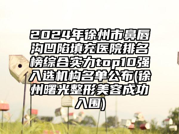 2024年徐州市鼻唇沟凹陷填充医院排名榜综合实力top10强入选机构名单公布(徐州曙光整形美容成功入围)