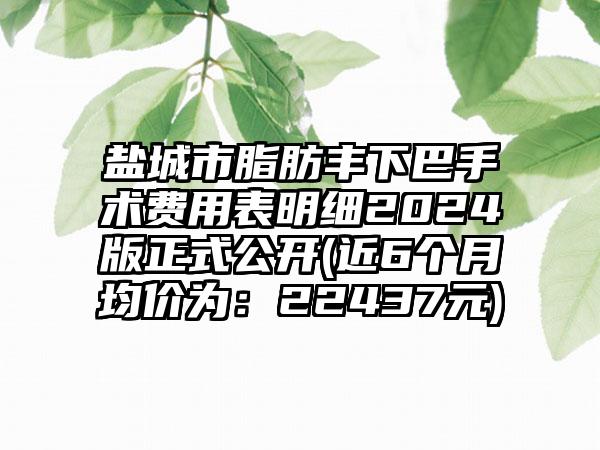 盐城市脂肪丰下巴手术费用表明细2024版正式公开(近6个月均价为：22437元)