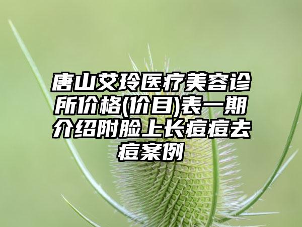 唐山艾玲医疗美容诊所价格(价目)表一期介绍附脸上长痘痘去痘案例