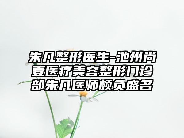 朱凡整形医生-池州尚壹医疗美容整形门诊部朱凡医师颇负盛名