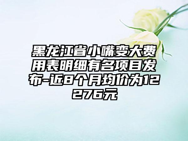 黑龙江省小嘴变大费用表明细有名项目发布-近8个月均价为12276元