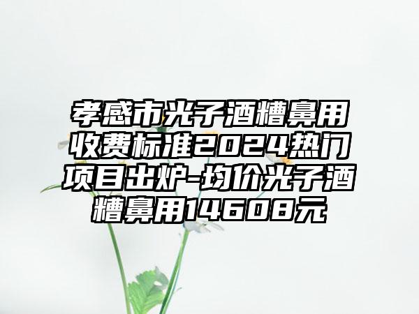 孝感市光子酒糟鼻用收费标准2024热门项目出炉-均价光子酒糟鼻用14608元