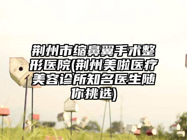 荆州市缩鼻翼手术整形医院(荆州美啦医疗美容诊所知名医生随你挑选)