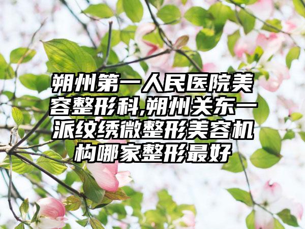 朔州第一人民医院美容整形科,朔州关东一派纹绣微整形美容机构哪家整形最好