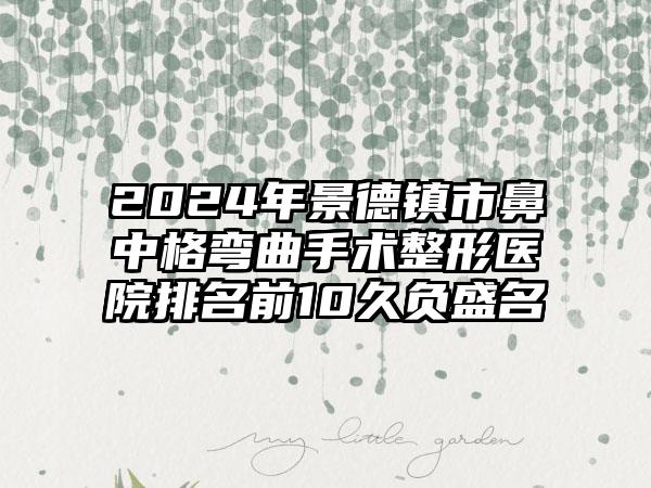 2024年景德镇市鼻中格弯曲手术整形医院排名前10久负盛名