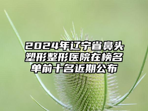 2024年辽宁省鼻头塑形整形医院在榜名单前十名近期公布