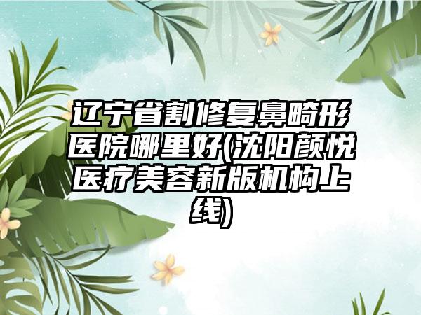 辽宁省割修复鼻畸形医院哪里好(沈阳颜悦医疗美容新版机构上线)