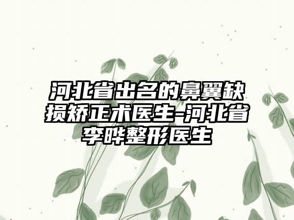 河北省出名的鼻翼缺损矫正术医生-河北省李晔整形医生