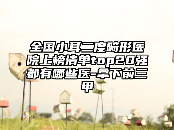 全国小耳二度畸形医院上榜清单top20强都有哪些医-拿下前三甲