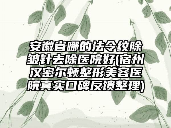 安徽省哪的法令纹除皱针去除医院好(宿州汉密尔顿整形美容医院真实口碑反馈整理)