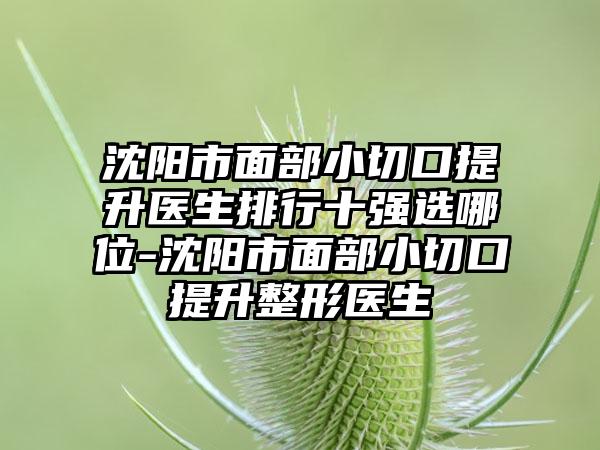 沈阳市面部小切口提升医生排行十强选哪位-沈阳市面部小切口提升整形医生