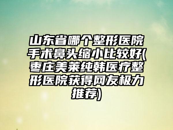 山东省哪个整形医院手术鼻头缩小比较好(枣庄美莱纯韩医疗整形医院获得网友极力推荐)