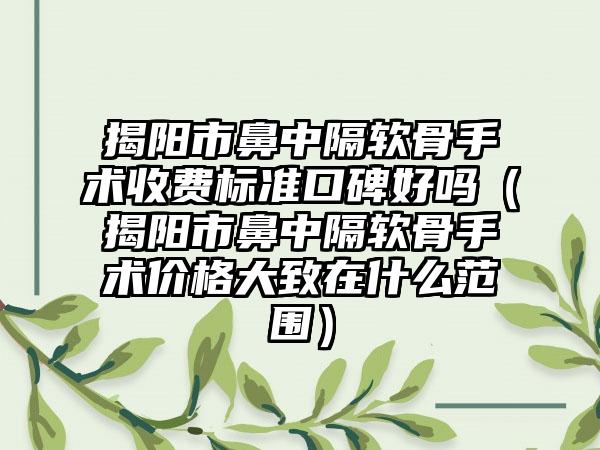 揭阳市鼻中隔软骨手术收费标准口碑好吗（揭阳市鼻中隔软骨手术价格大致在什么范围）