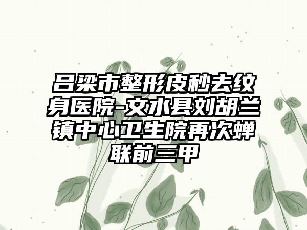 吕梁市整形皮秒去纹身医院-文水县刘胡兰镇中心卫生院再次蝉联前三甲