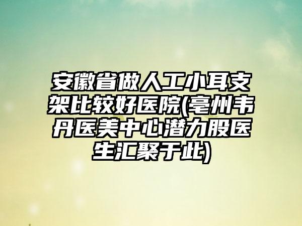 安徽省做人工小耳支架比较好医院(亳州韦丹医美中心潜力股医生汇聚于此)