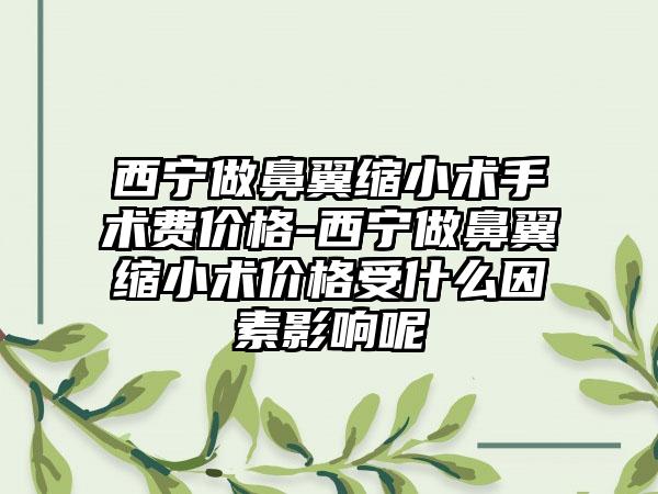 西宁做鼻翼缩小术手术费价格-西宁做鼻翼缩小术价格受什么因素影响呢