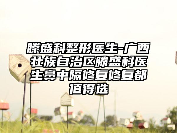 滕盛科整形医生-广西壮族自治区滕盛科医生鼻中隔修复修复都值得选