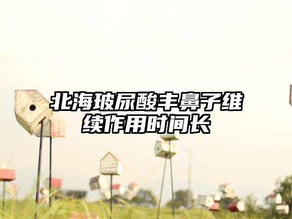 北海玻尿酸丰鼻子维续作用时间长