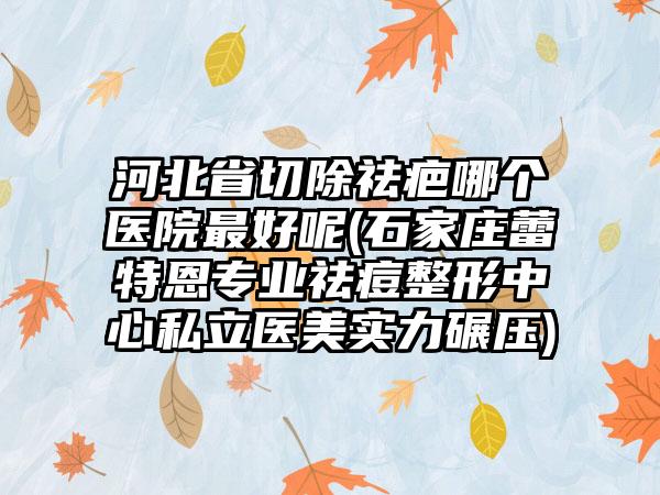 河北省切除祛疤哪个医院最好呢(石家庄蕾特恩专业祛痘整形中心私立医美实力碾压)