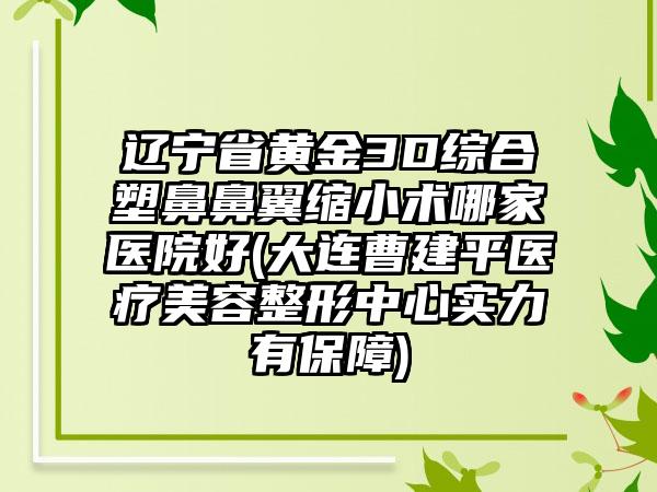 辽宁省黄金3D综合塑鼻鼻翼缩小术哪家医院好(大连曹建平医疗美容整形中心实力有保障)