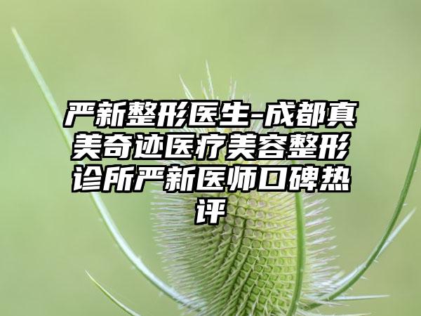 严新整形医生-成都真美奇迹医疗美容整形诊所严新医师口碑热评