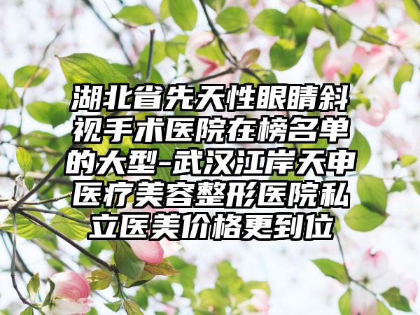 湖北省先天性眼睛斜视手术医院在榜名单的大型-武汉江岸天申医疗美容整形医院私立医美价格更到位