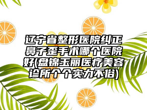 辽宁省整形医院纠正鼻子歪手术哪个医院好(盘锦玉丽医疗美容诊所个个实力不俗)