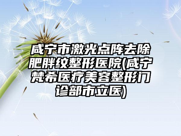 咸宁市激光点阵去除肥胖纹整形医院(咸宁梵希医疗美容整形门诊部市立医)