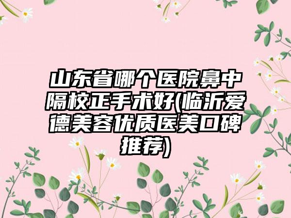 山东省哪个医院鼻中隔校正手术好(临沂爱德美容优质医美口碑推荐)