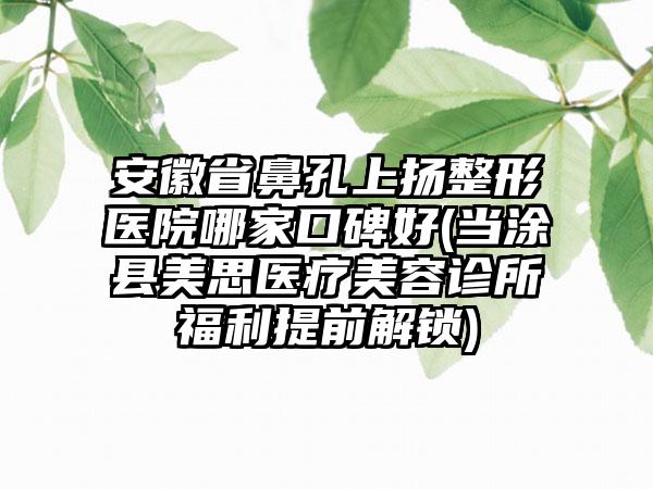 安徽省鼻孔上扬整形医院哪家口碑好(当涂县美思医疗美容诊所福利提前解锁)