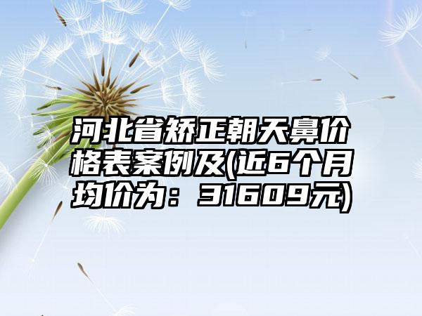 河北省矫正朝天鼻价格表案例及(近6个月均价为：31609元)