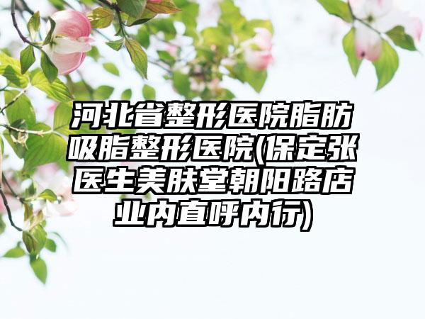 河北省整形医院脂肪吸脂整形医院(保定张医生美肤堂朝阳路店业内直呼内行)