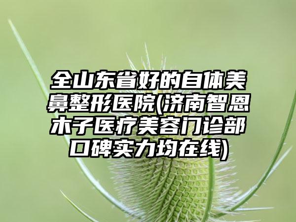 全山东省好的自体美鼻整形医院(济南智恩木子医疗美容门诊部口碑实力均在线)