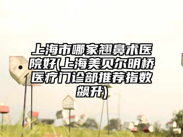 上海市哪家翘鼻术医院好(上海美贝尔明桥医疗门诊部推荐指数飙升)