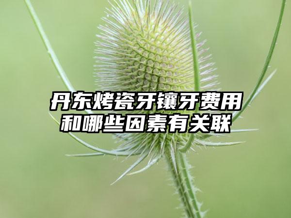 丹东烤瓷牙镶牙费用和哪些因素有关联