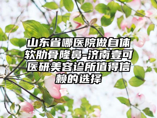 山东省哪医院做自体软肋骨隆鼻-济南壹可医研美容诊所值得信赖的选择