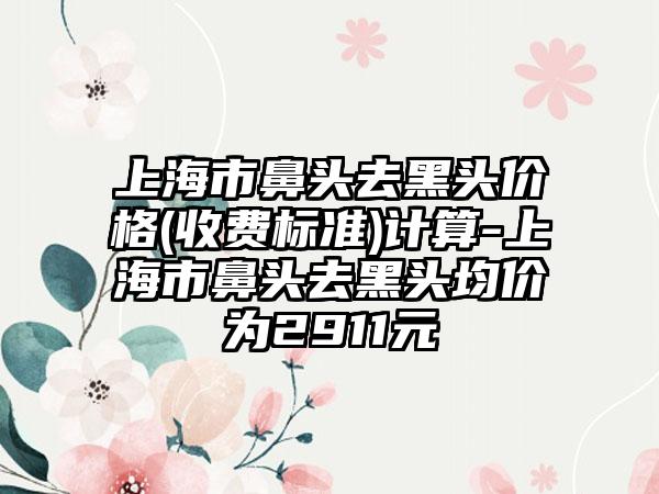 上海市鼻头去黑头价格(收费标准)计算-上海市鼻头去黑头均价为2911元