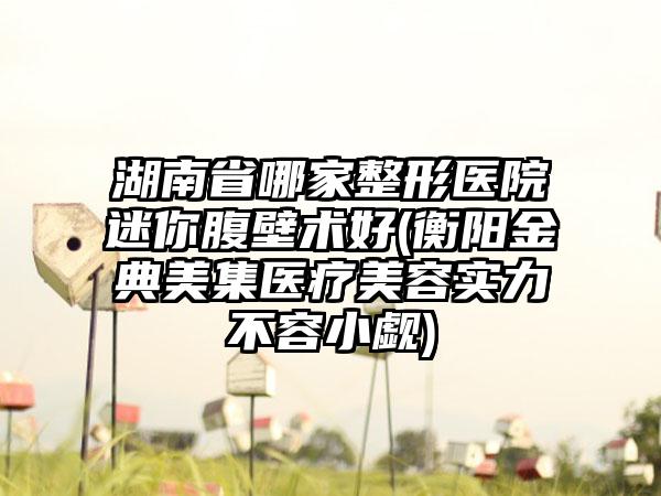 湖南省哪家整形医院迷你腹壁术好(衡阳金典美集医疗美容实力不容小觑)