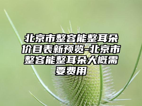 北京市整容能整耳朵价目表新预览-北京市整容能整耳朵大概需要费用