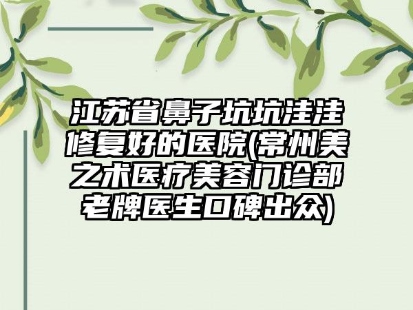 江苏省鼻子坑坑洼洼修复好的医院(常州美之术医疗美容门诊部老牌医生口碑出众)