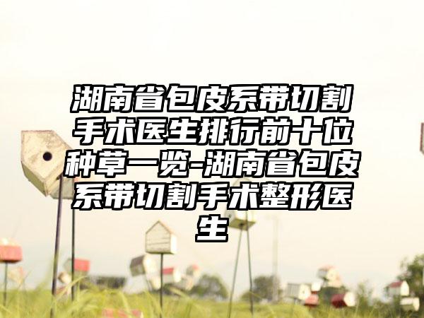 湖南省包皮系带切割手术医生排行前十位种草一览-湖南省包皮系带切割手术整形医生