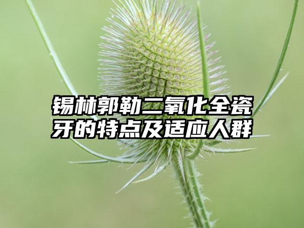 锡林郭勒二氧化全瓷牙的特点及适应人群