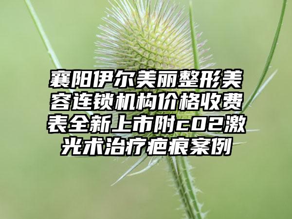 襄阳伊尔美丽整形美容连锁机构价格收费表全新上市附c02激光术治疗疤痕案例