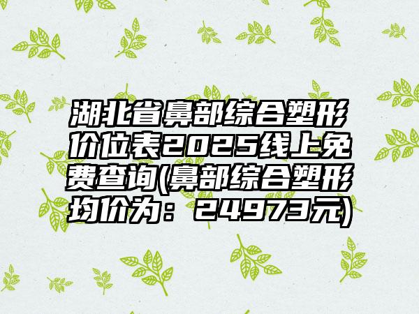 湖北省鼻部综合塑形价位表2025线上免费查询(鼻部综合塑形均价为：24973元)