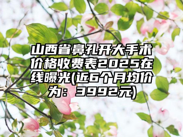 山西省鼻孔开大手术价格收费表2025在线曝光(近6个月均价为：3992元)