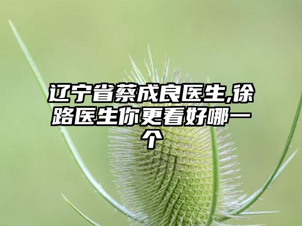 辽宁省蔡成良医生,徐路医生你更看好哪一个