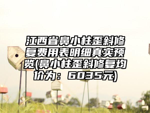 江西省鼻小柱歪斜修复费用表明细真实预览(鼻小柱歪斜修复均价为：6035元)