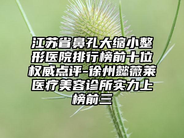 江苏省鼻孔大缩小整形医院排行榜前十位权威点评-徐州懿薇莱医疗美容诊所实力上榜前三