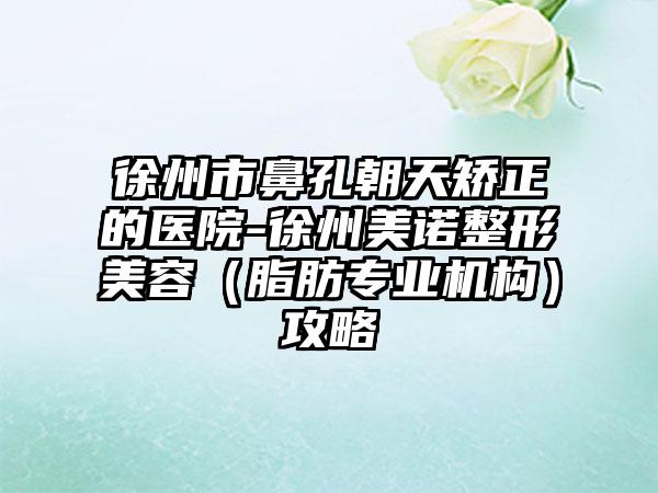 徐州市鼻孔朝天矫正的医院-徐州美诺整形美容（脂肪专业机构）攻略